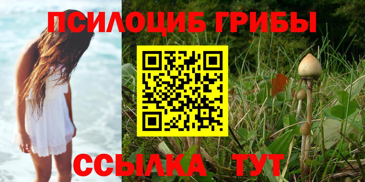 продажа наркотиков  Вход с VPN  Псилоцибиновые грибы Psilocybine cubensis  Кулебаки  Псилоцибиновые грибы мицелий 